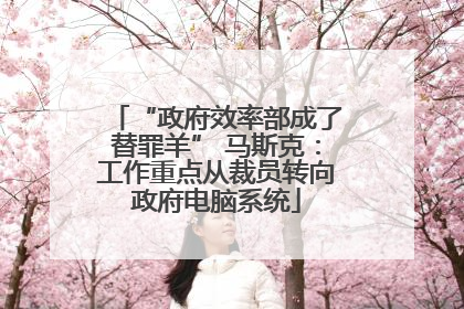 “政府效率部成了替罪羊” 马斯克：工作重点从裁员转向政府电脑系统