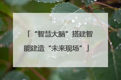 “智慧大脑”搭建智能建造“未来现场”
