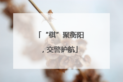 “棋”聚衡阳，交警护航