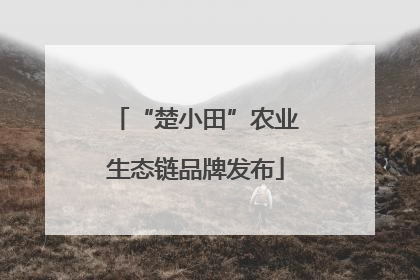 “楚小田”农业生态链品牌发布