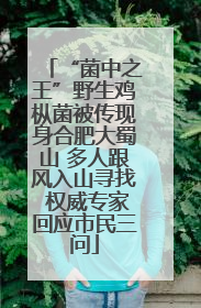 “菌中之王”野生鸡枞菌被传现身合肥大蜀山 多人跟风入山寻找 权威专家回应市民三问