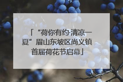 “荷你有约·清凉一夏”眉山东坡区尚义镇首届荷花节启幕