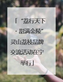 “荔行天下・甜满金陵”灵山荔枝品牌交流活动在宁举行