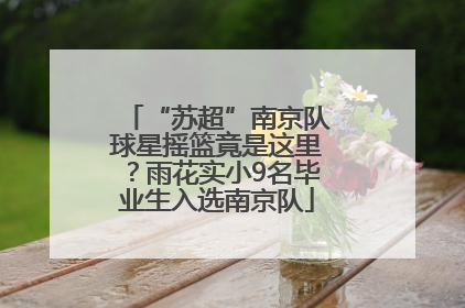 “苏超”南京队球星摇篮竟是这里？雨花实小9名毕业生入选南京队