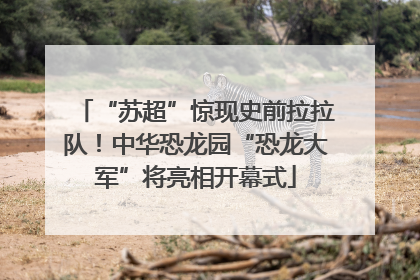 “苏超”惊现史前拉拉队！中华恐龙园“恐龙大军”将亮相开幕式