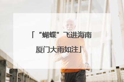 “蝴蝶”飞进海南 厦门大雨如注