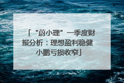 “蔚小理”一季度财报分析：理想盈利稳健 小鹏亏损收窄