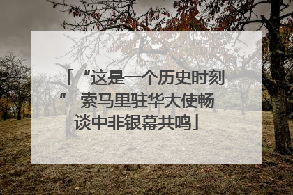 “这是一个历史时刻” 索马里驻华大使畅谈中非银幕共鸣