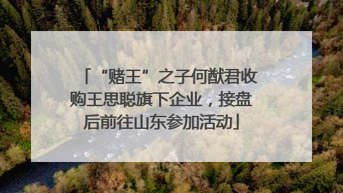 “赌王”之子何猷君收购王思聪旗下企业，接盘后前往山东参加活动