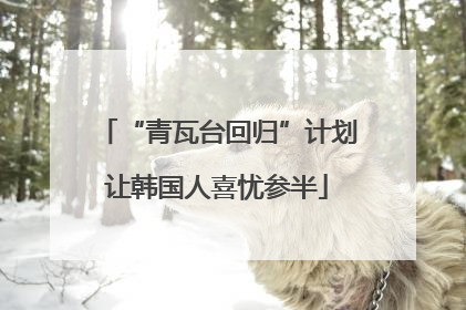 “青瓦台回归”计划让韩国人喜忧参半