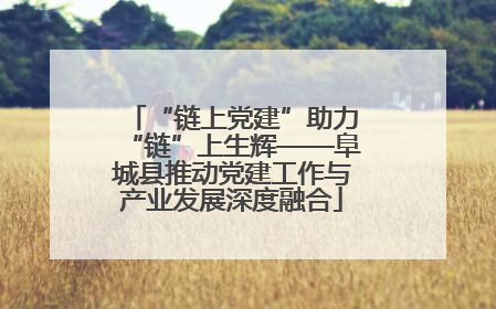 “链上党建”助力“链”上生辉——阜城县推动党建工作与产业发展深度融合