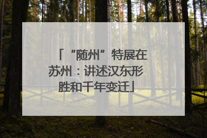 “随州”特展在苏州：讲述汉东形胜和千年变迁