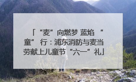 “麦”向燃梦 蓝焰 “童” 行：浦东消防与麦当劳献上儿童节“六一”礼