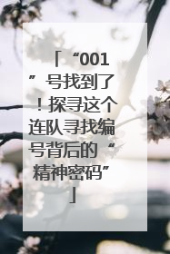 “001”号找到了！探寻这个连队寻找编号背后的“精神密码”