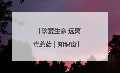 珍爱生命 远离毒蘑菇｜知识窗