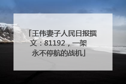 王伟妻子人民日报撰文：81192，一架永不停航的战机