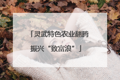 灵武特色农业翻腾振兴“致富浪”