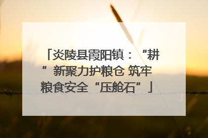 炎陵县霞阳镇：“耕”新聚力护粮仓 筑牢粮食安全“压舱石”