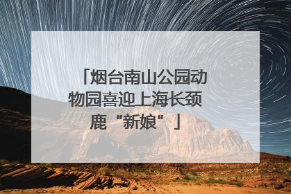 烟台南山公园动物园喜迎上海长颈鹿“新娘”