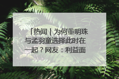 热闻｜为何董明珠与孟羽童选择此时在一起？网友：利益面前啥都能和解