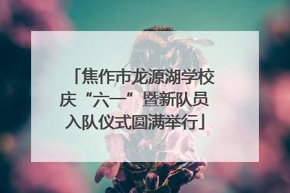 焦作市龙源湖学校庆“六一”暨新队员入队仪式圆满举行
