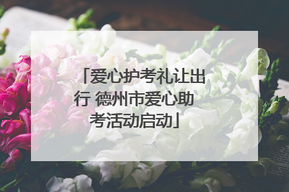 爱心护考礼让出行 德州市爱心助考活动启动