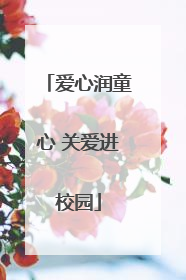 爱心润童心 关爱进校园