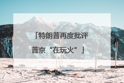 特朗普再度批评普京“在玩火”