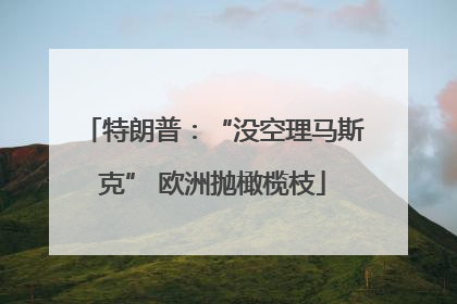 特朗普：“没空理马斯克” 欧洲抛橄榄枝