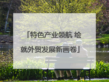 特色产业领航 绘就外贸发展新画卷