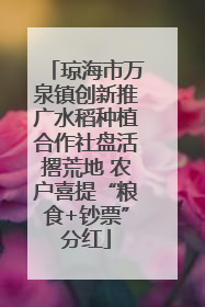 琼海市万泉镇创新推广水稻种植合作社盘活撂荒地 农户喜提“粮食+钞票”分红