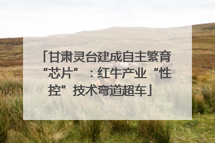 甘肃灵台建成自主繁育“芯片”：红牛产业“性控”技术弯道超车