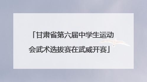 甘肃省第六届中学生运动会武术选拔赛在武威开赛