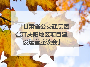 甘肃省公交建集团召开庆阳地区项目建设运营座谈会