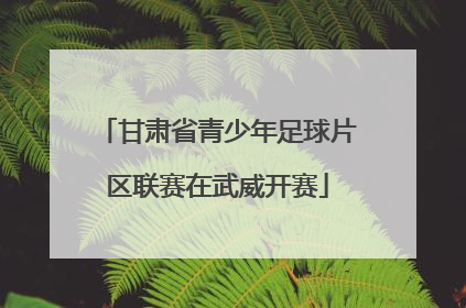 甘肃省青少年足球片区联赛在武威开赛