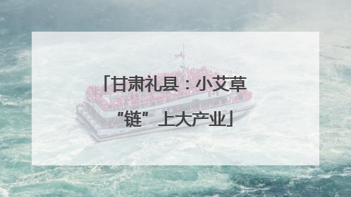 甘肃礼县：小艾草“链”上大产业