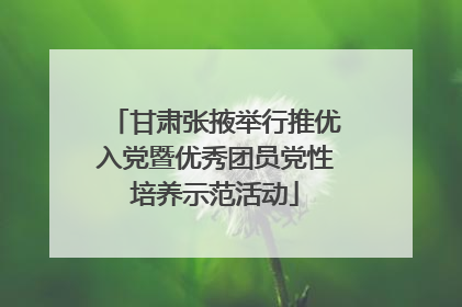 甘肃张掖举行推优入党暨优秀团员党性培养示范活动