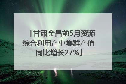 甘肃金昌前5月资源综合利用产业集群产值同比增长27%