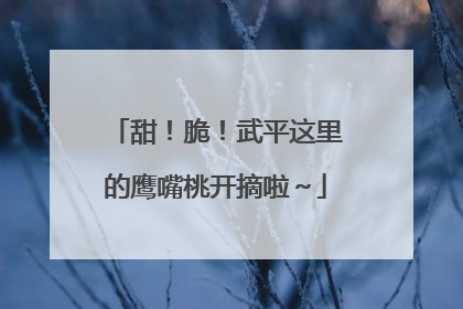 甜！脆！武平这里的鹰嘴桃开摘啦～