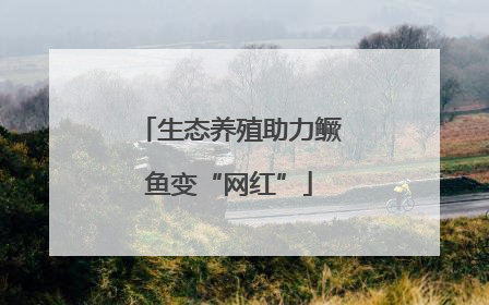 生态养殖助力鳜鱼变“网红”