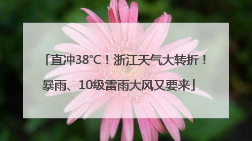 直冲38℃！浙江天气大转折！暴雨、10级雷雨大风又要来