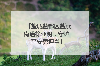 盐城盐都区盐渎街道徐亚明：守护平安勇担当