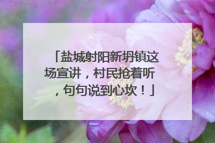 盐城射阳新坍镇这场宣讲，村民抢着听，句句说到心坎！