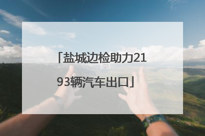 盐城边检助力2193辆汽车出口