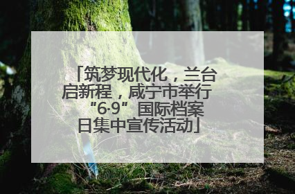 筑梦现代化，兰台启新程，咸宁市举行“6·9”国际档案日集中宣传活动