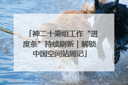神二十乘组工作“进度条”持续刷新｜解锁中国空间站周记