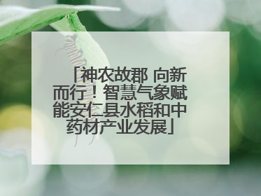 神农故郡 向新而行！智慧气象赋能安仁县水稻和中药材产业发展
