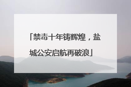 禁毒十年铸辉煌，盐城公安启航再破浪