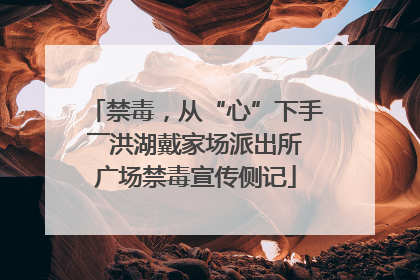 禁毒，从“心”下手――洪湖戴家场派出所广场禁毒宣传侧记