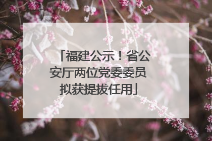 福建公示！省公安厅两位党委委员拟获提拔任用